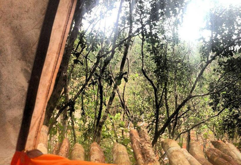 فندق صغير Lemurian Embassy Eco Village Retreat