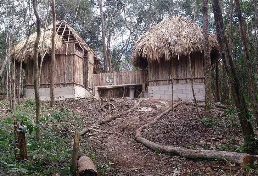 Общежитие Lemurian Embassy Eco Village Retreat