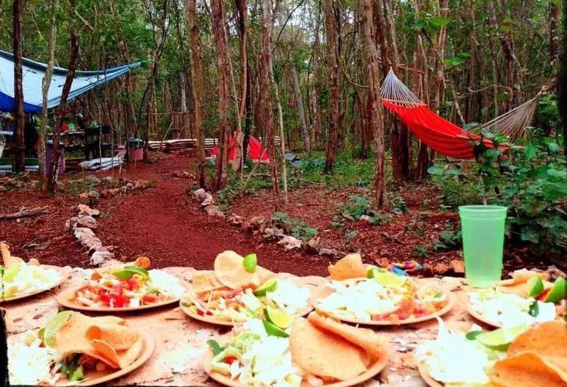 Общежитие Lemurian Embassy Eco Village Retreat