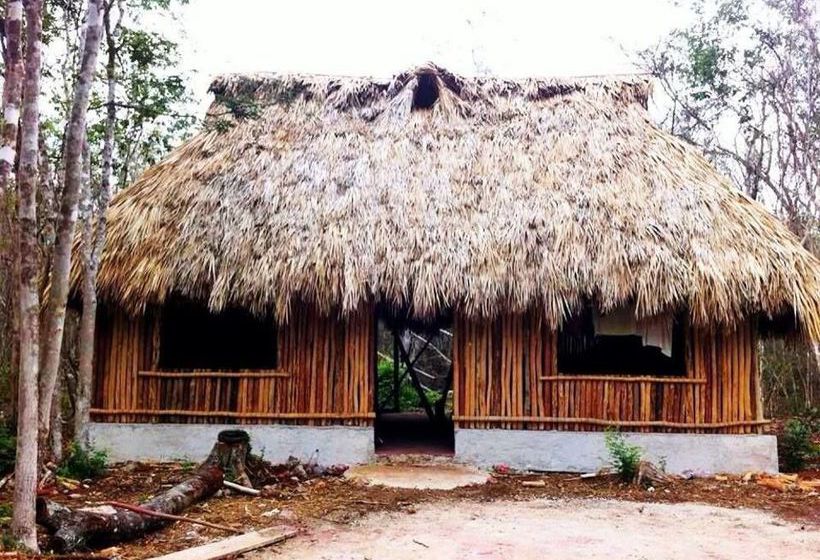 فندق صغير Lemurian Embassy Eco Village Retreat