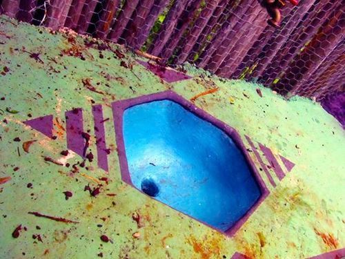 فندق صغير Lemurian Embassy Eco Village Retreat