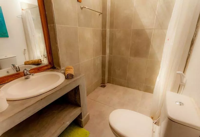 مبيت وإفطار Colpetty House