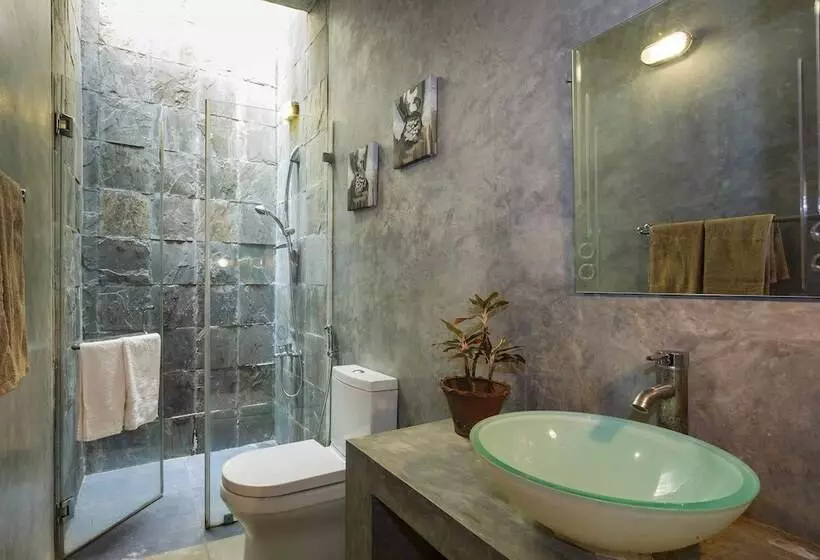 مبيت وإفطار Colpetty House