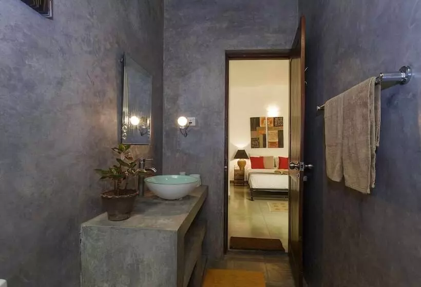 مبيت وإفطار Colpetty House