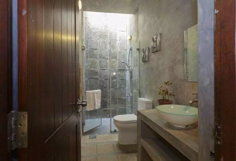 مبيت وإفطار Colpetty House