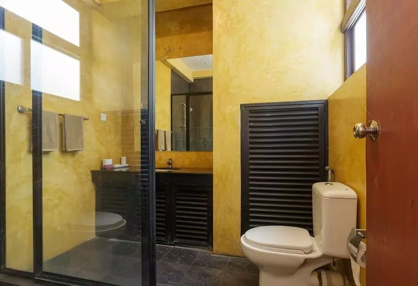 مبيت وإفطار Colpetty House