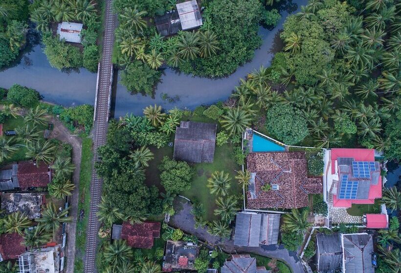 مبيت وإفطار Green Casa