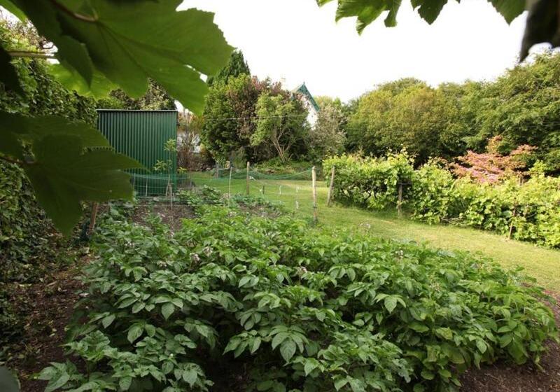 Bed and Breakfast Robin Hill House Heritage Guest House