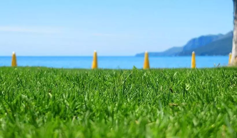 Отель Eden Park Cilento