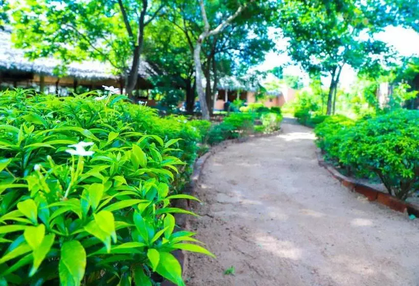 호텔 Cabanas By Cloudz Sigiriya