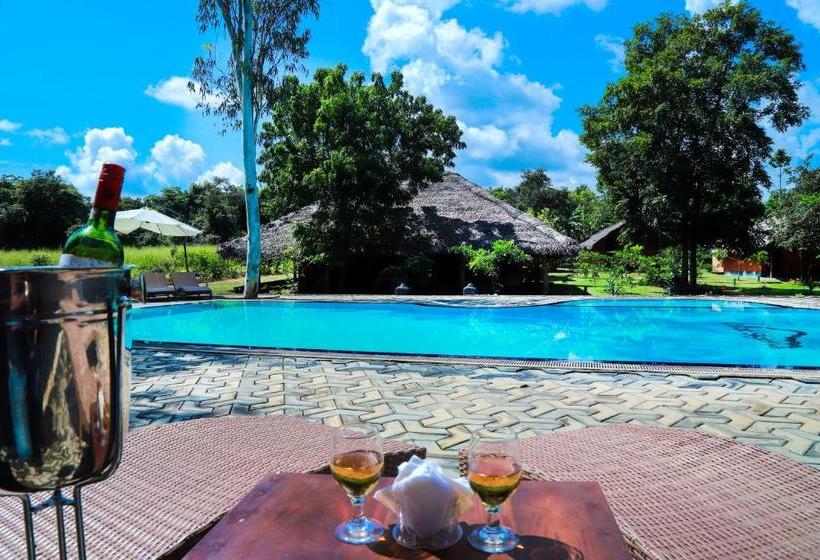 Hotel Cabanas By Cloudz Sigiriya