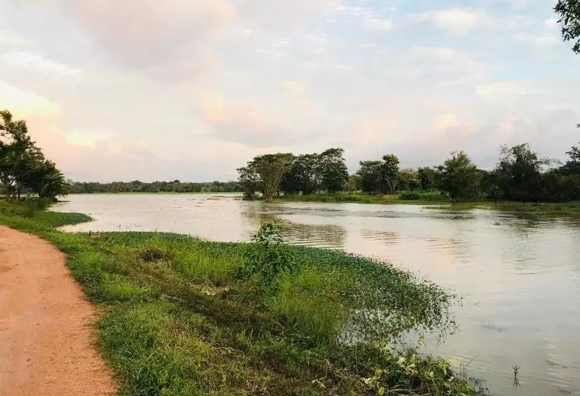 호텔 Cabanas By Cloudz Sigiriya