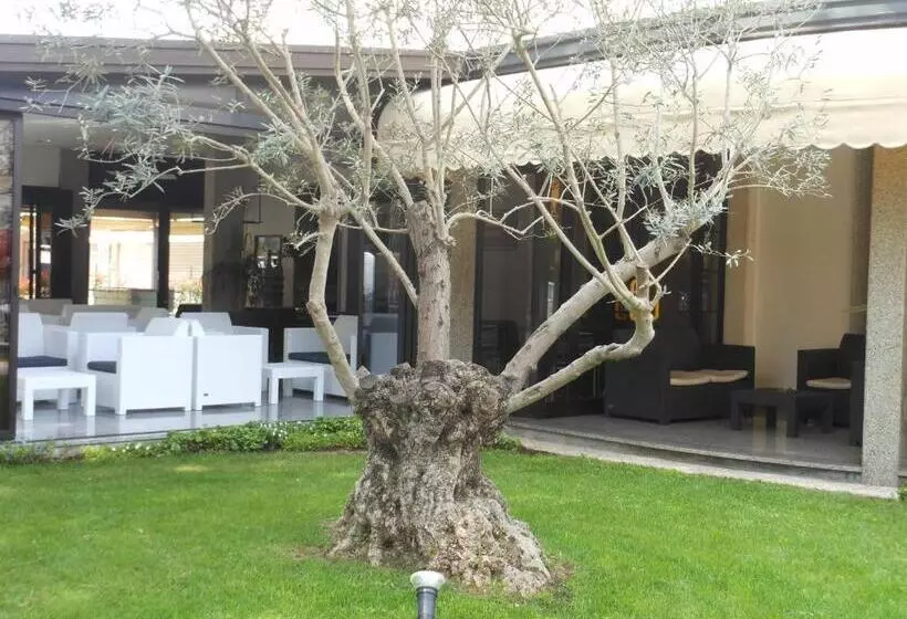 Отель Jesolo Sand