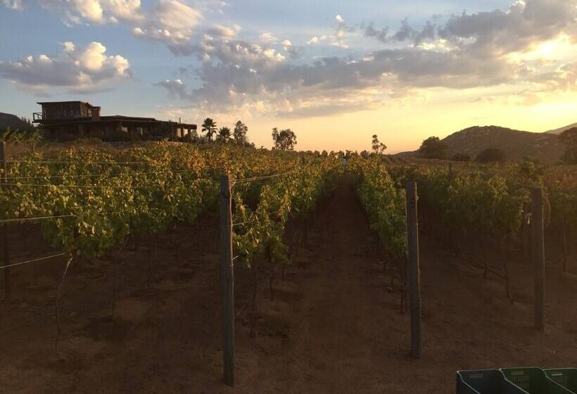 فندق Rancho Cien Piedras