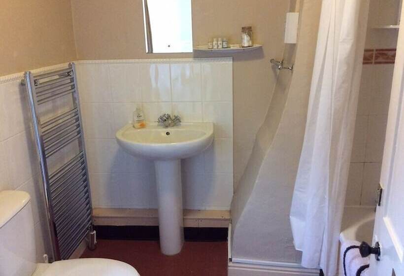 هتل The Black Horse Inn