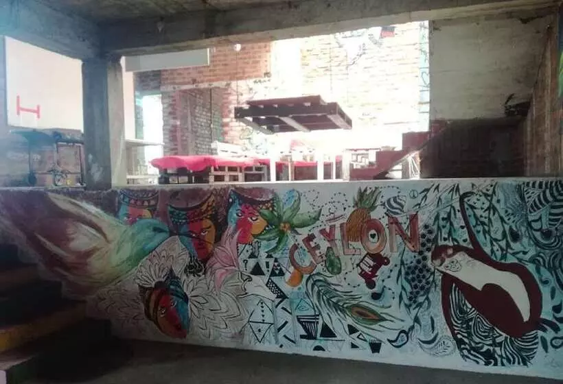 Kandy Walkers Hostel