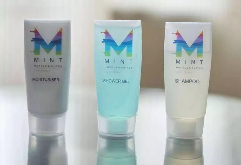 Mint Domestic Airport Suites