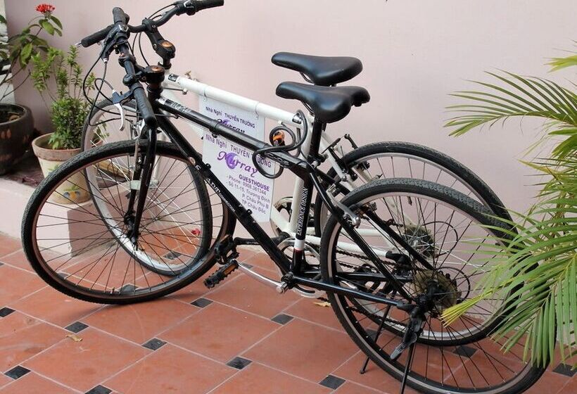 Pension Murray Guesthouse