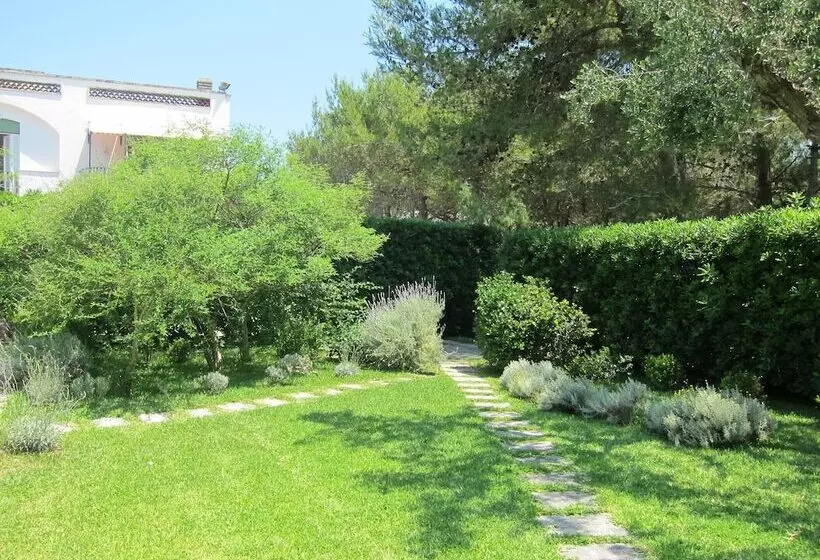 Tenuta Belvedere