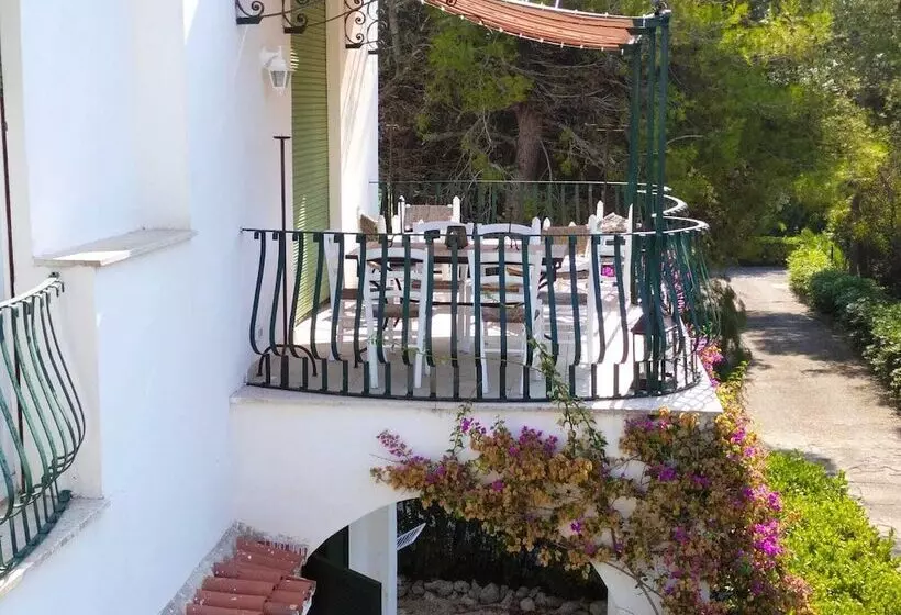 Tenuta Belvedere