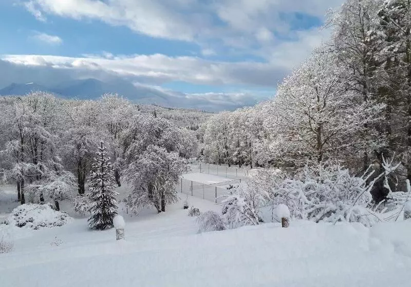 Bed and Breakfast Tirindrish House