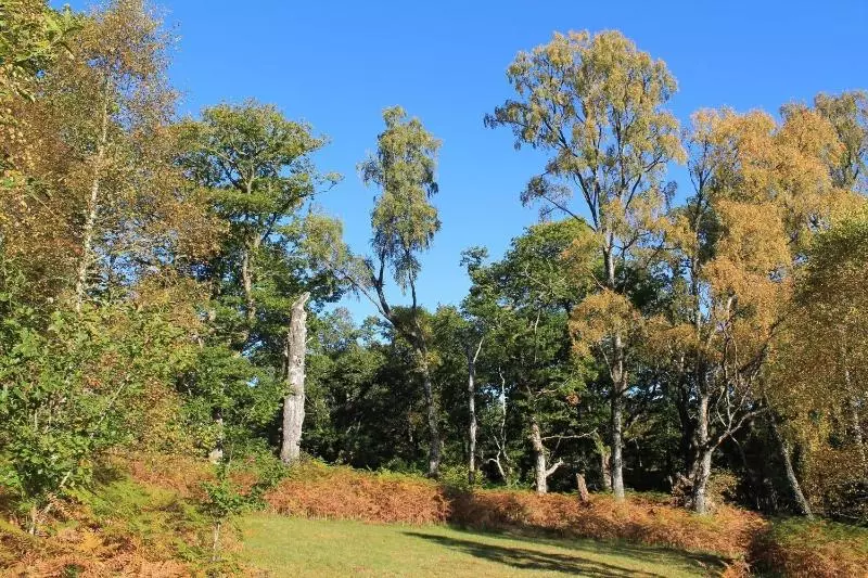 Bed and Breakfast Tirindrish House