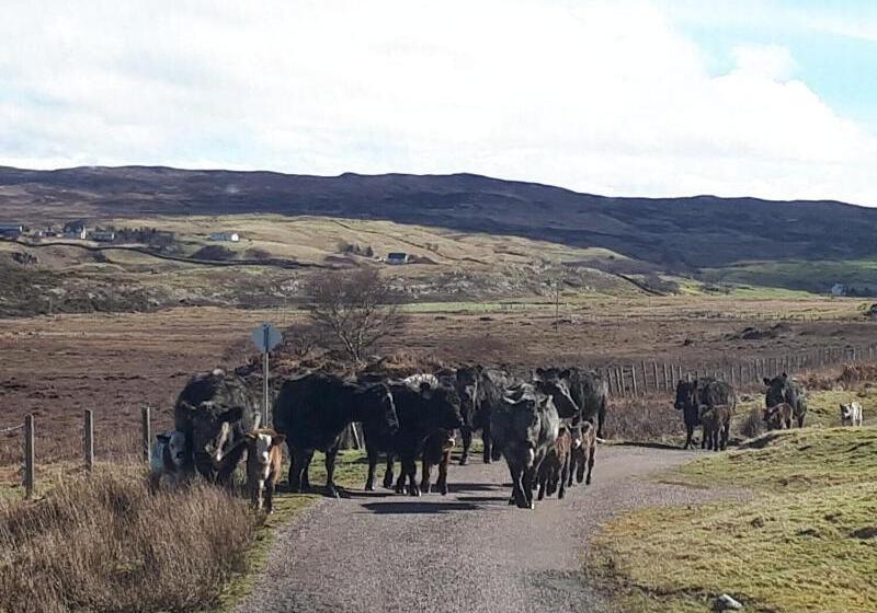 צימר Tirindrish House