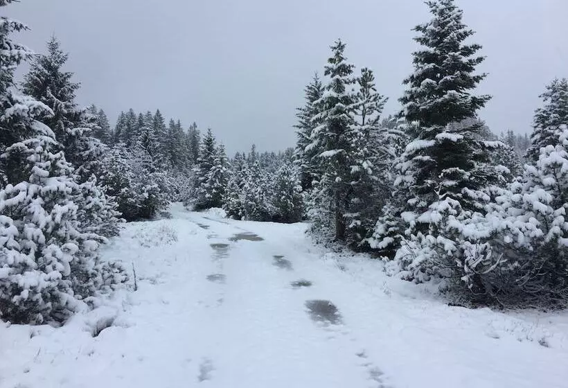 هاستل Amdenlodge Berg Chalet In Amden Am Walenssee Event, Seminar, Ferienlager