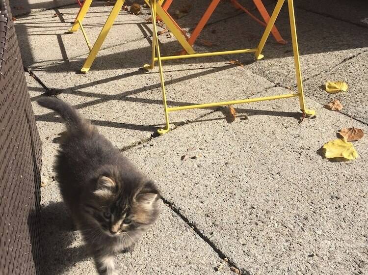 호스텔 Amdenlodge   Berg Chalet In Amden Am Walenssee   Event, Seminar, Ferienlager