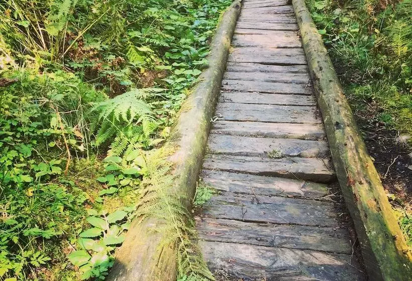 هاستل Amdenlodge Berg Chalet In Amden Am Walenssee Event, Seminar, Ferienlager