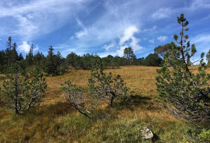 호스텔 Amdenlodge   Berg Chalet In Amden Am Walenssee   Event, Seminar, Ferienlager