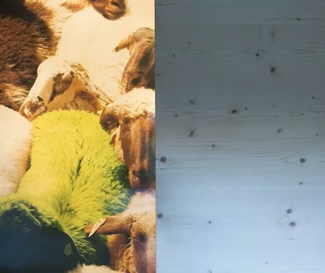 Giatla Hof Der Alfenalm Ferienwohnungen Am Berg