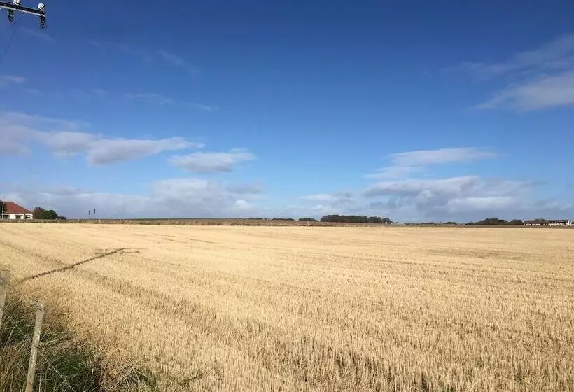 Beach House Walk Crail Home From Home