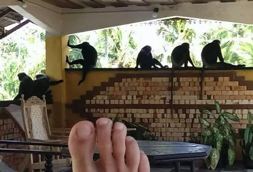 Aamiaismajoitus (B&B) Weligama Ancient Mural