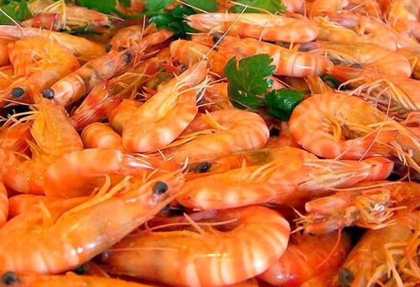 Bed and Breakfast Weligama Ancient Mural