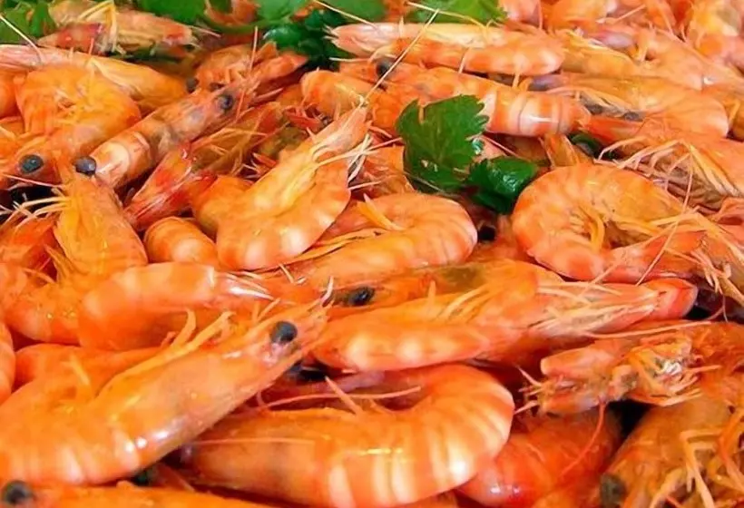 Aamiaismajoitus (B&B) Weligama Ancient Mural