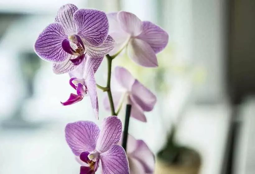 City Housing Boganesveien 31 Hinna Park