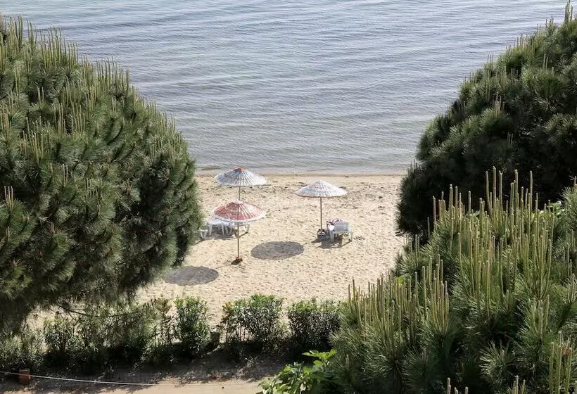 Hotel Bisera