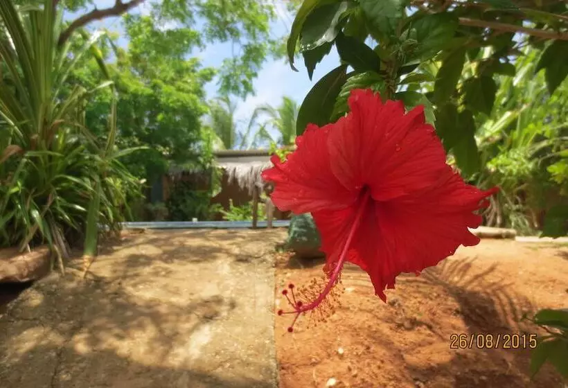 Hotel Ceylon Heritage