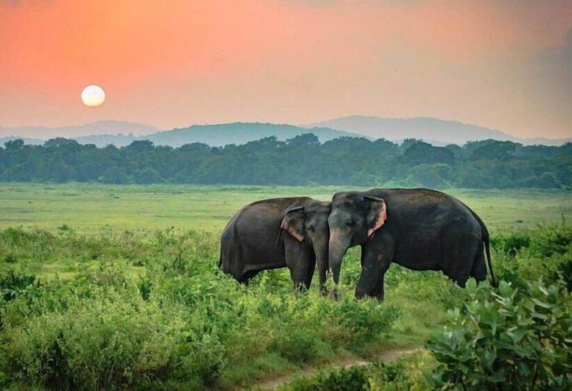 فندق Elephant Rest Udawalawa