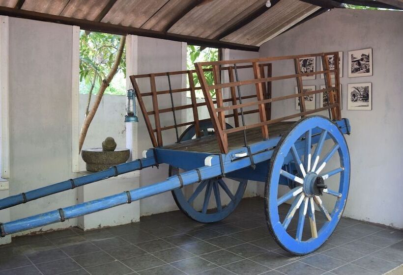 فندق Elephant Rest Udawalawa