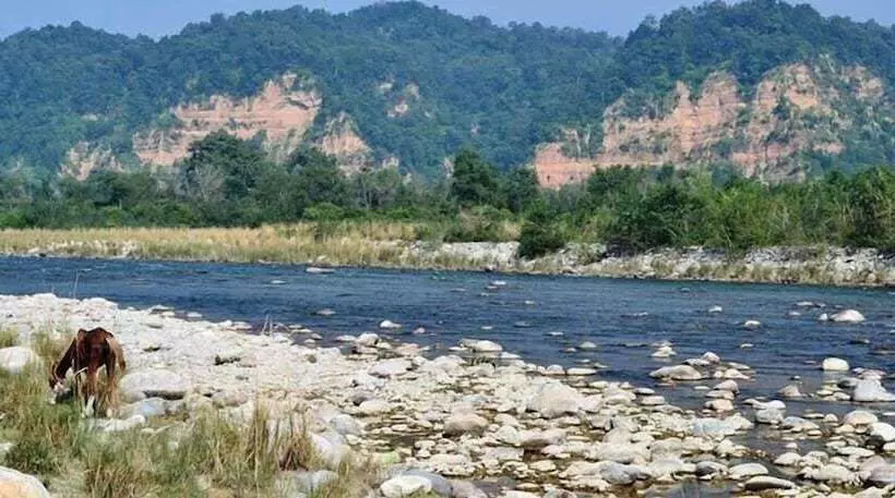 ホテル Vanya River Lodge