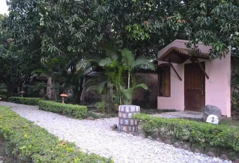 ホテル Vanya River Lodge
