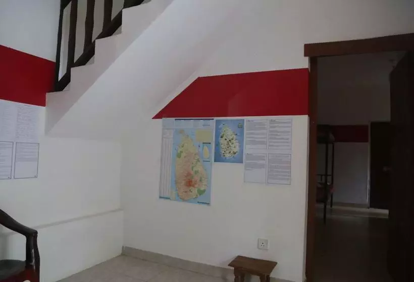 Kandy City Elephant Hostel