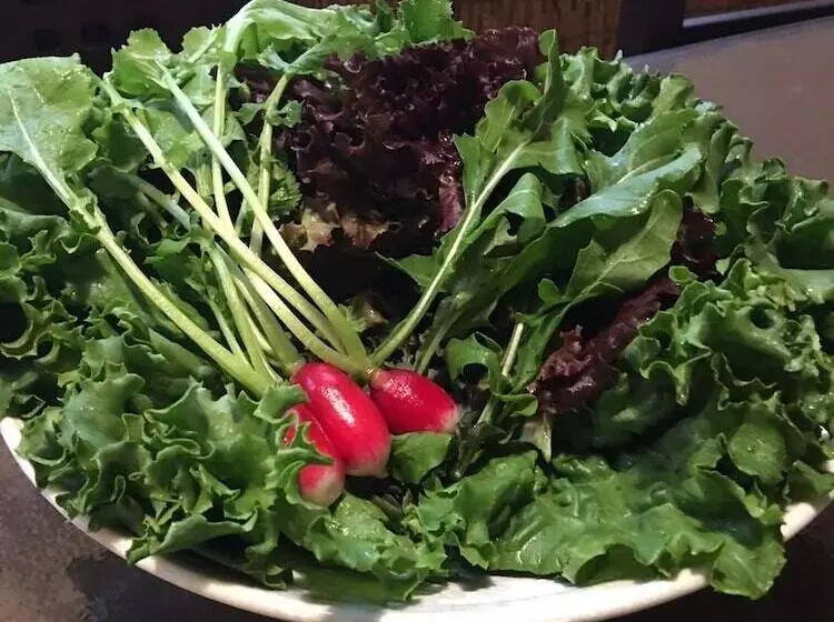 Karuizawa Pension Sato No Nukumori