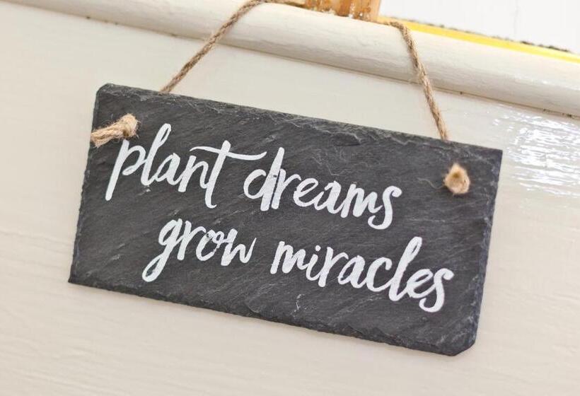 膳宿费 Lyndhurst Guest House