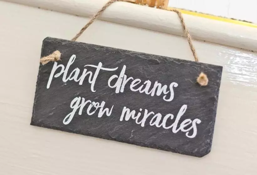 پانسیون Lyndhurst Guest House