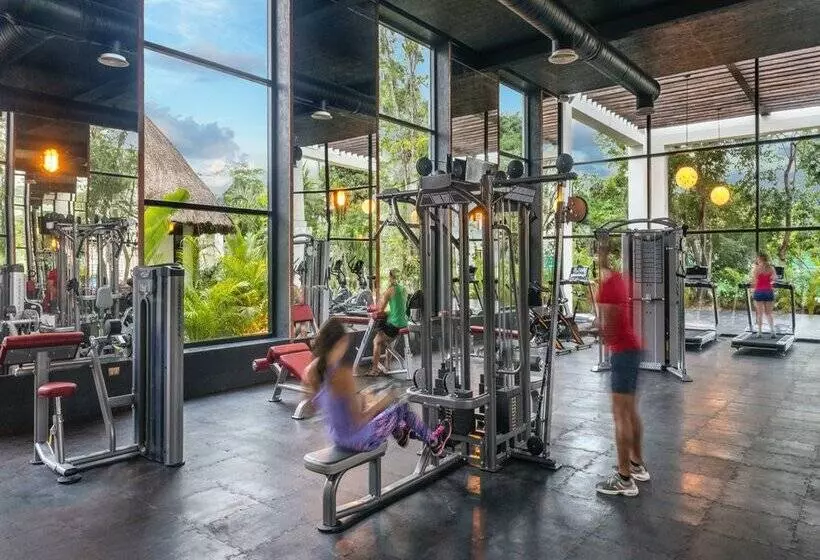 渡假胜地 El Beso - Adults Only at Ocean Riviera Paradise - All Inclusive