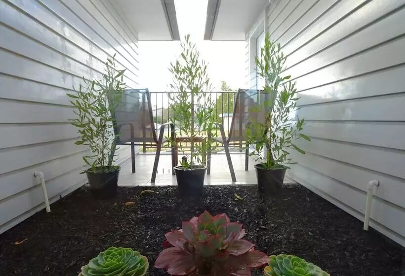 Bks Premier Motel Hamilton