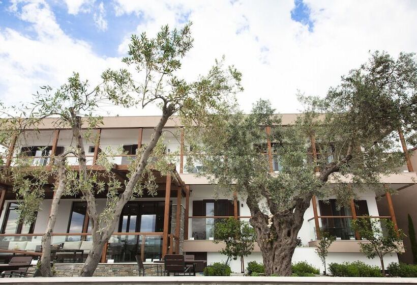 فندق Ayia Marina Suites